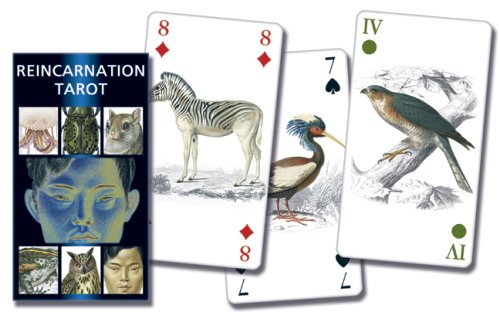 Tarot of Reincarnation (English and Spanish Edition)